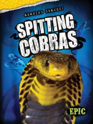 cover image of Spitting Cobras